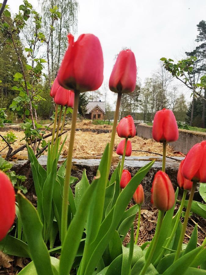 Garpenbergs B&B, Bnb Eksteriør billede